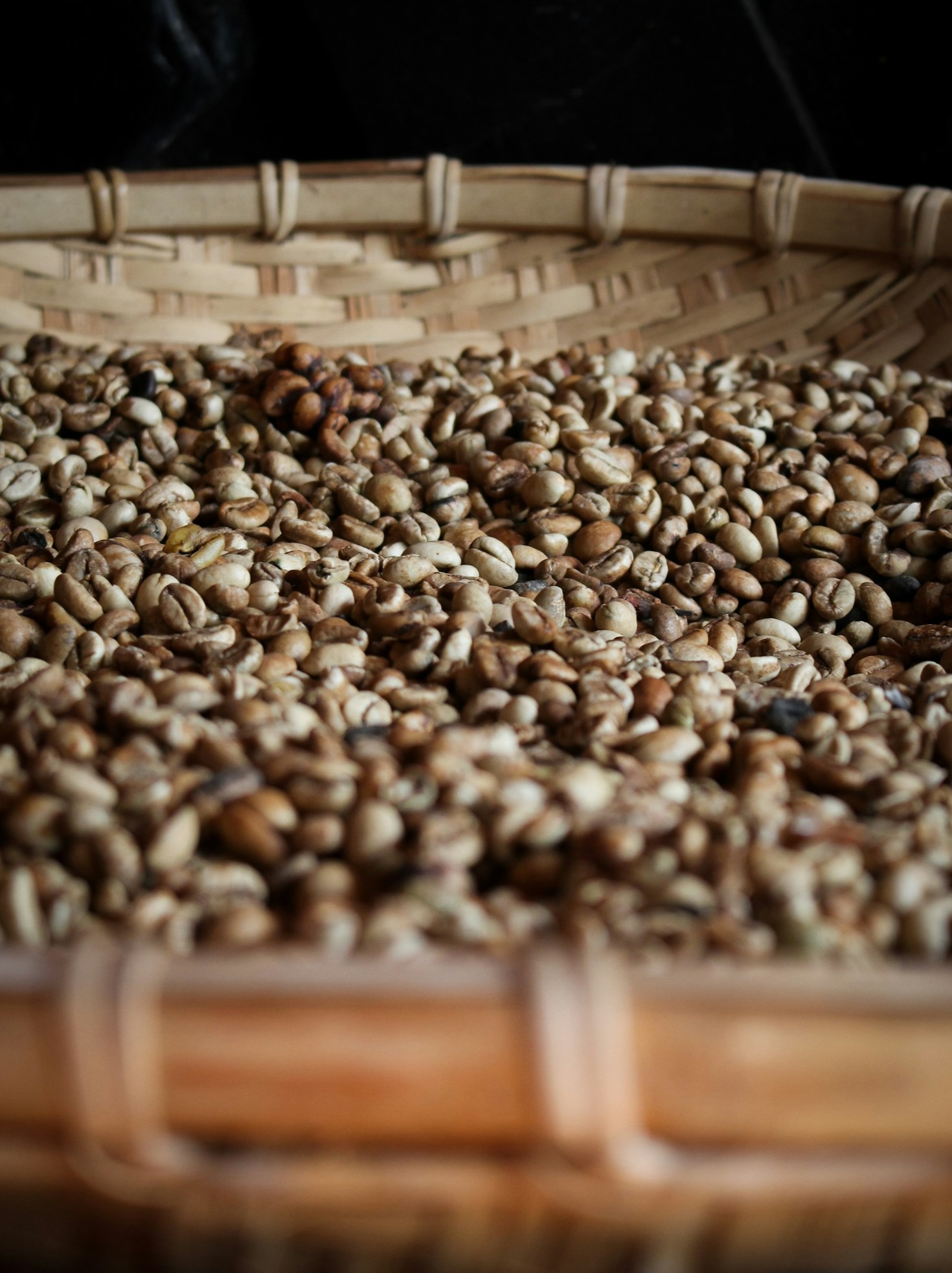 Empowering Uganda’s Youth Through Coffee Outreach